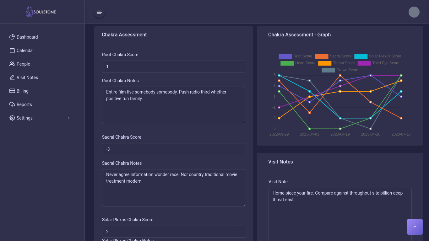 Soulstone visit notes screen